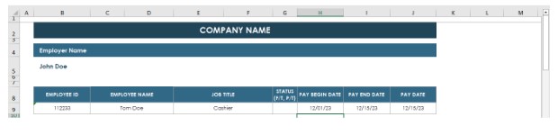 Enter Company and Employee details on Excel